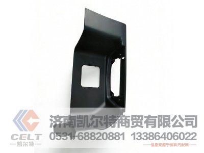 WG1664248105,踏板,济南凯尔特商贸有限公司