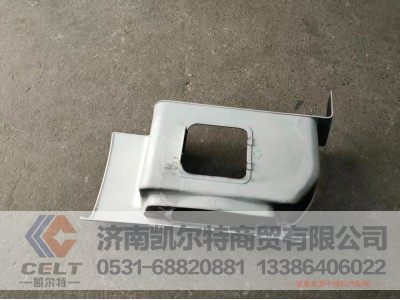 WG1664248105,踏板,济南凯尔特商贸有限公司