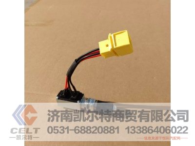 WG9725716002,双触点制动灯开关,济南凯尔特商贸有限公司