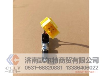WG9725716002,双触点制动灯开关,济南凯尔特商贸有限公司