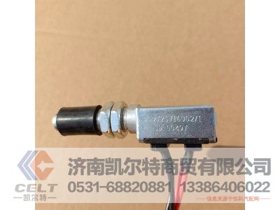 WG9725716002,双触点制动灯开关,济南凯尔特商贸有限公司