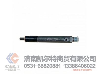 61560080276,喷油泵总成,济南凯尔特商贸有限公司