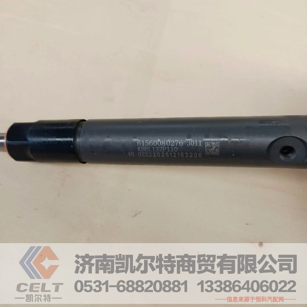 61560080276,喷油泵总成,济南凯尔特商贸有限公司