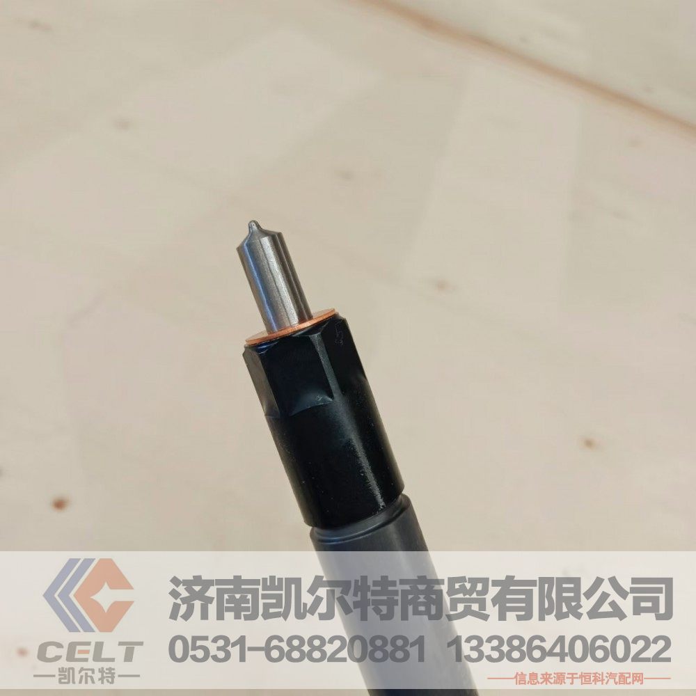 61560080276,喷油泵总成,济南凯尔特商贸有限公司