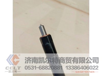 61560080276,喷油泵总成,济南凯尔特商贸有限公司