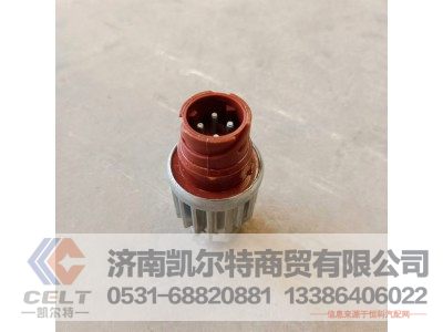 DZ93189582550(81.25520.0171),制动开关,济南凯尔特商贸有限公司 DZ93189582550(81.25520.0171),制动开关,济南凯尔特商贸有限公司