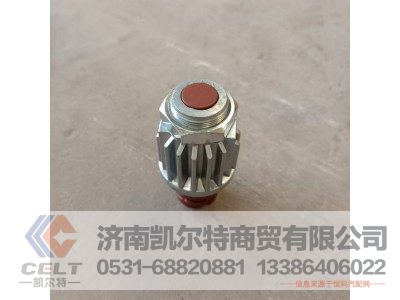 DZ93189582550(81.25520.0171),制动开关,济南凯尔特商贸有限公司 DZ93189582550(81.25520.0171),制动开关,济南凯尔特商贸有限公司