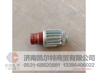 DZ93189582550(81.25520.0171),制动开关,济南凯尔特商贸有限公司 DZ93189582550(81.25520.0171),制动开关,济南凯尔特商贸有限公司