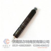 供应工程机械发动机配件 喷油器 喷油嘴总成 玉柴喷油器总成E0800-1112020C