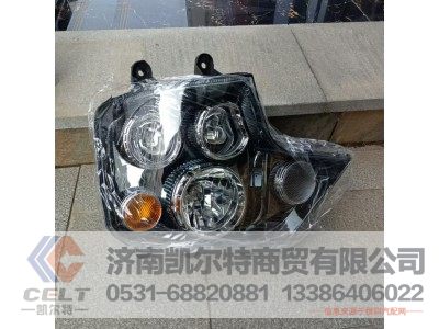 WG9925721001,前照灯总成(左),济南凯尔特商贸有限公司