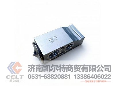 DZ14251841200,膨胀阀,济南凯尔特商贸有限公司