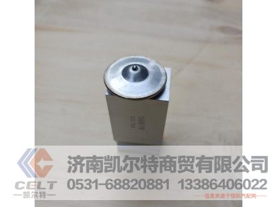 DZ14251841200,膨胀阀,济南凯尔特商贸有限公司