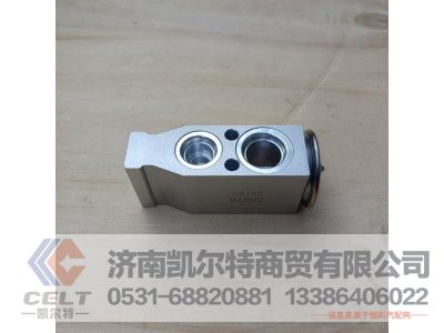 DZ14251841200,膨胀阀,济南凯尔特商贸有限公司