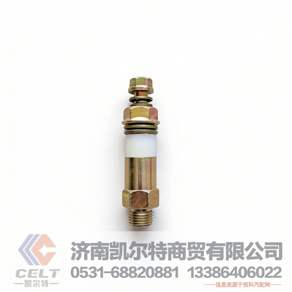 612600080213,单向阀,济南凯尔特商贸有限公司