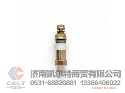 612600080213,单向阀,济南凯尔特商贸有限公司