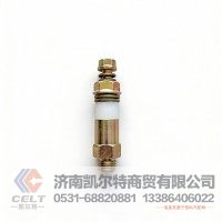 潍柴欧二喷油泵高压油泵溢流阀单向阀612600080213 厂家现货批发