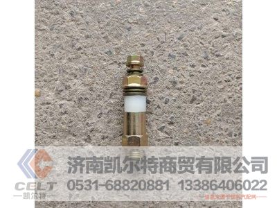 612600080213,单向阀,济南凯尔特商贸有限公司