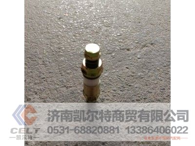 612600080213,单向阀,济南凯尔特商贸有限公司