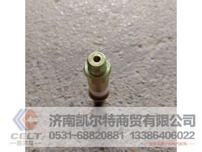 612600080213,单向阀,济南凯尔特商贸有限公司