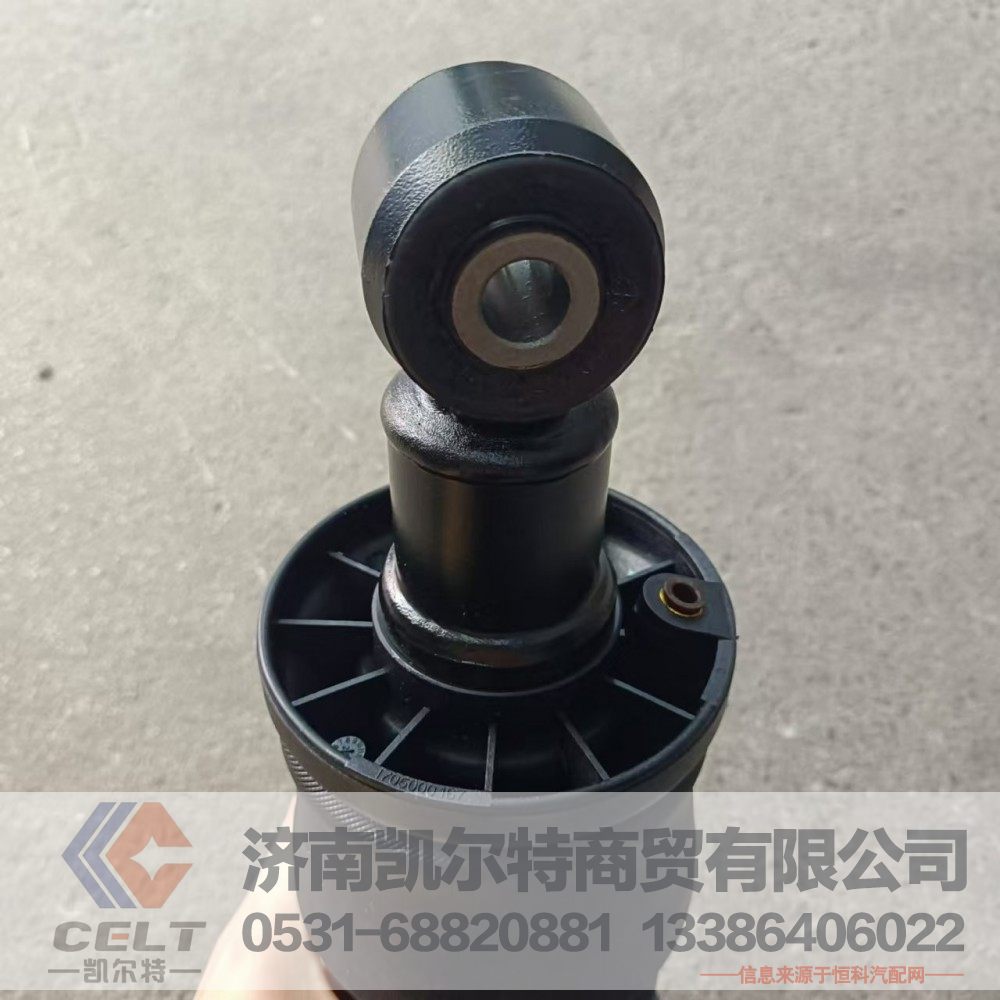 5001315A2000-C00/F,后悬置空气弹簧加减振器总成,济南凯尔特商贸有限公司