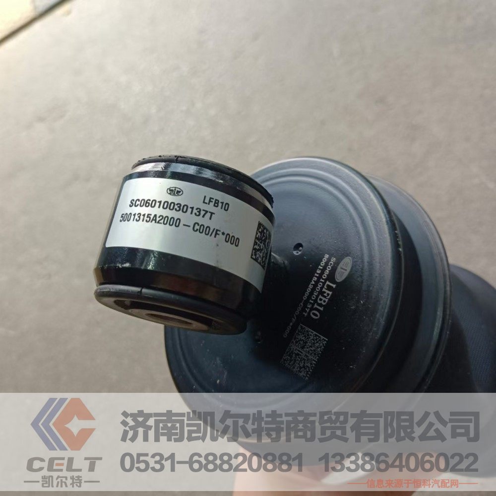 5001315A2000-C00/F,后悬置空气弹簧加减振器总成,济南凯尔特商贸有限公司