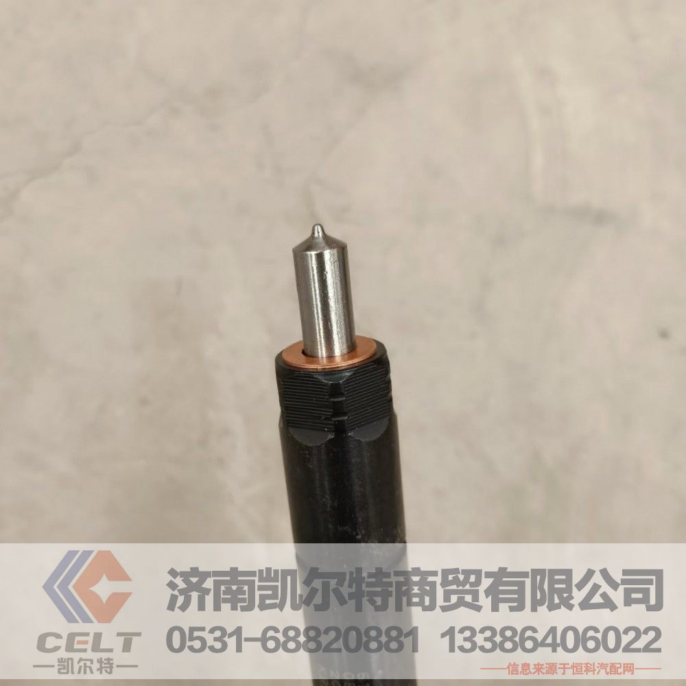 61560080305,喷油器总成,济南凯尔特商贸有限公司