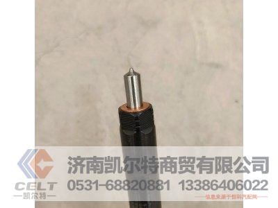 61560080305,喷油器总成,济南凯尔特商贸有限公司