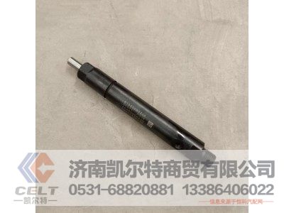 61560080305,喷油器总成,济南凯尔特商贸有限公司