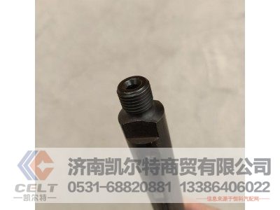 61560080305,喷油器总成,济南凯尔特商贸有限公司