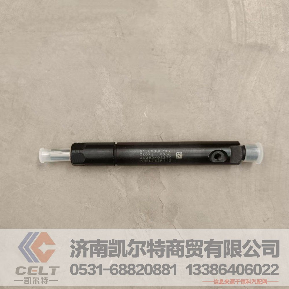 61560080305,喷油器总成,济南凯尔特商贸有限公司