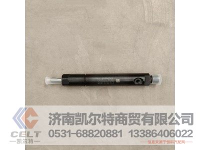 61560080305,喷油器总成,济南凯尔特商贸有限公司