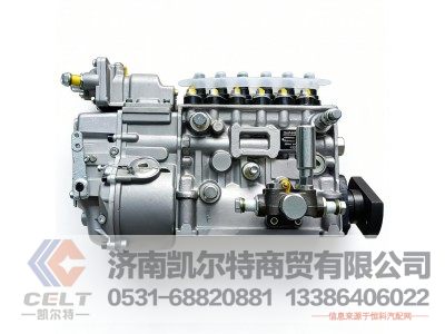 VG1560080023,喷油泵带K型调速器,济南凯尔特商贸有限公司