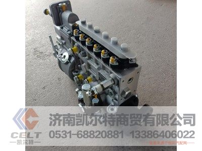 VG1560080023,喷油泵带K型调速器,济南凯尔特商贸有限公司