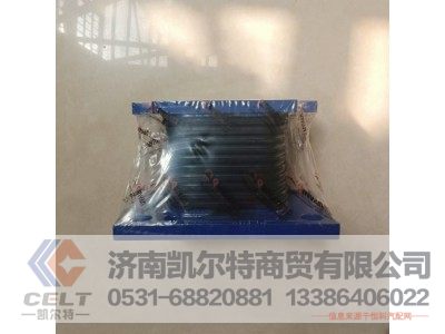 QYAZ9725520276,,济南凯尔特商贸有限公司