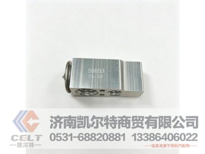 58853,膨胀阀,济南凯尔特商贸有限公司