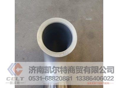 WG9925542006,金属软管,济南凯尔特商贸有限公司