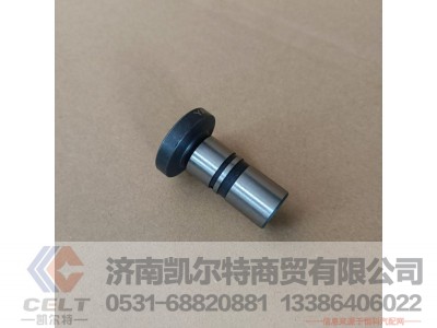 12273399,挺柱,济南凯尔特商贸有限公司 12273399,挺柱,济南凯尔特商贸有限公司