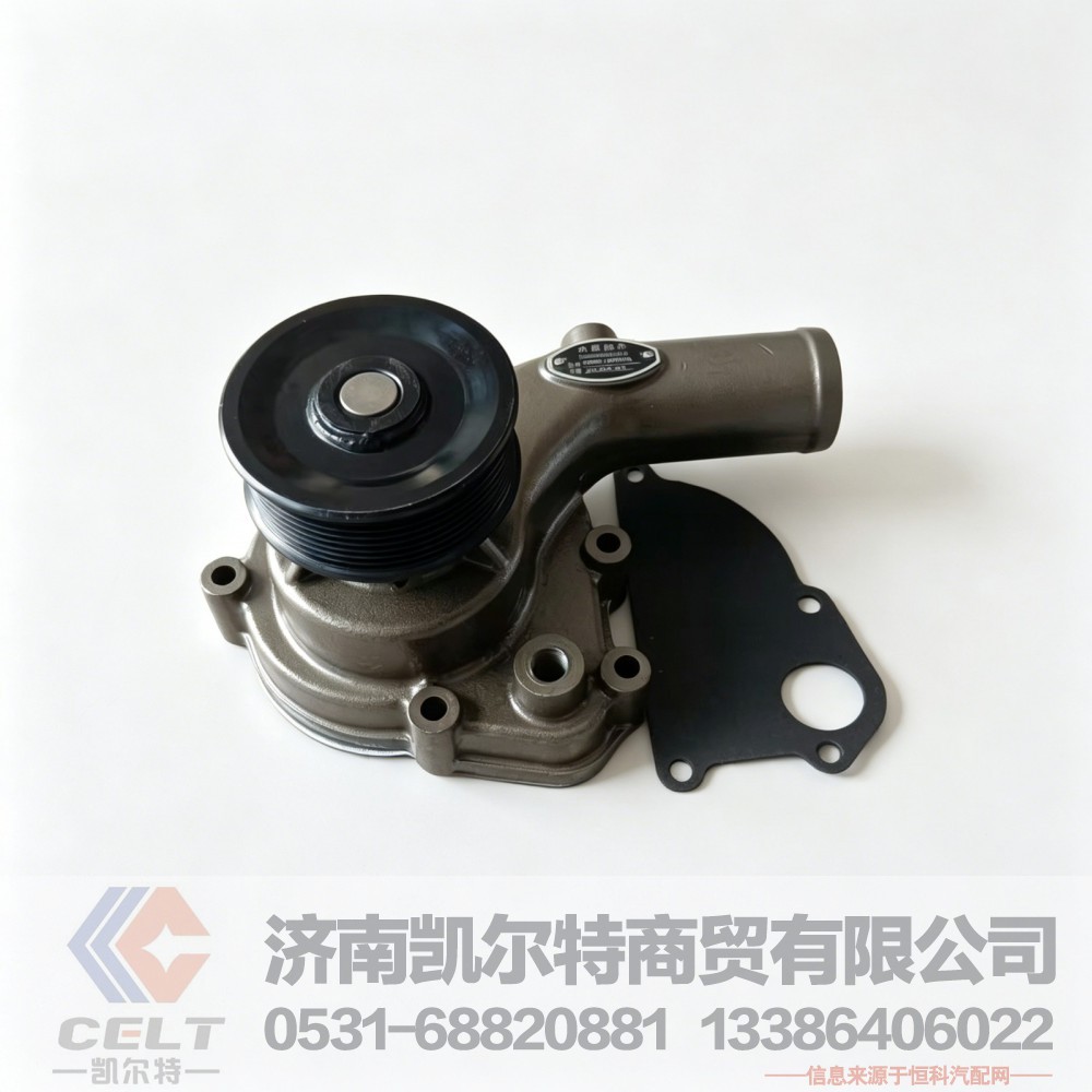 优势供应玉柴YC4108发动机配件 水泵D0305-1307010A水泵总成