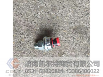 ,,济南凯尔特商贸有限公司