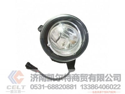 WG9925721010,,济南凯尔特商贸有限公司