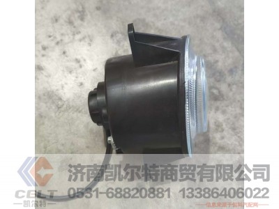 WG9925721010,,济南凯尔特商贸有限公司