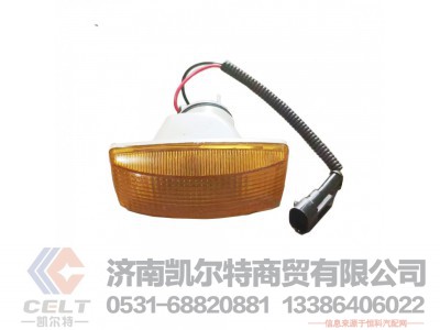 WG9925720013,,济南凯尔特商贸有限公司