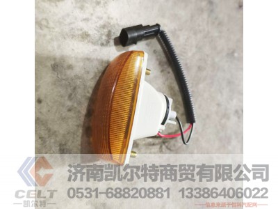 WG9925720013,,济南凯尔特商贸有限公司