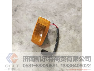 WG9925720013,,济南凯尔特商贸有限公司