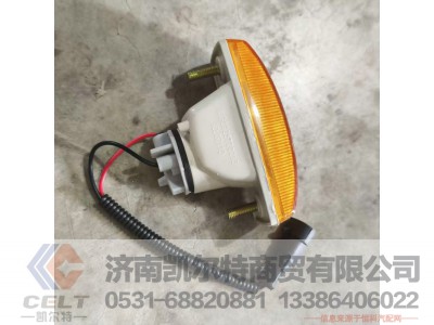 WG9925720013,,济南凯尔特商贸有限公司