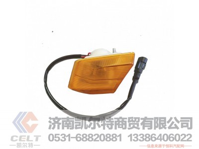 DZ97189721330,,济南凯尔特商贸有限公司
