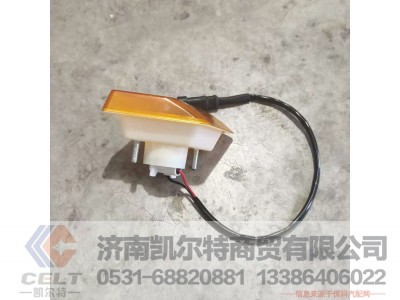 DZ97189721330,,济南凯尔特商贸有限公司