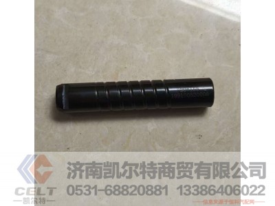 199100520006,,济南凯尔特商贸有限公司