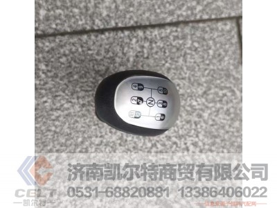 WG9900241001,,济南凯尔特商贸有限公司