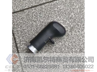 WG9900241001,,济南凯尔特商贸有限公司